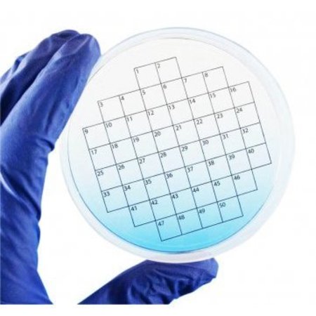 DIVERSIFIED BIOTECH Petri Stickers, 50 Sq Grid, 3" Dia, 36/pk, 36PK 247010-50
